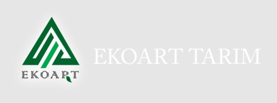 B2B Meetings at Hilton Olympia London