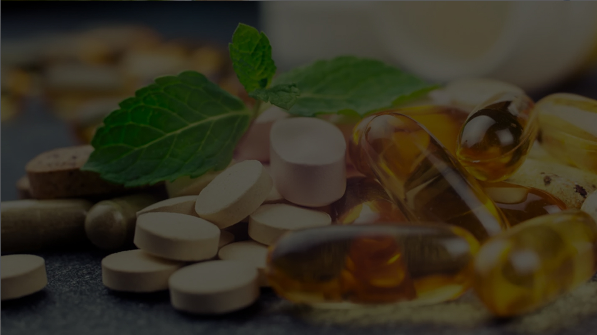 B2B Meetings at Hilton Olympia London